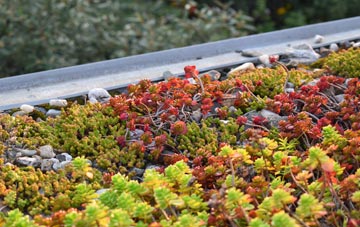 the cost of New Greens green roof installation
