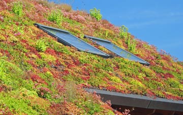 New Greens living roof systems